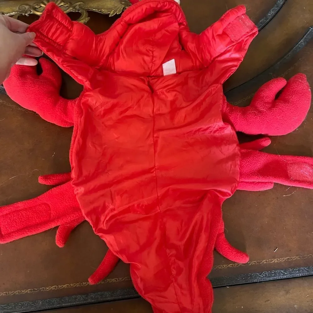 🦞 🎃 ADORABLE Red ROCK Lobster Halloween costume!